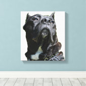 Big Dog Canvas (Insitu (Houten vloer))
