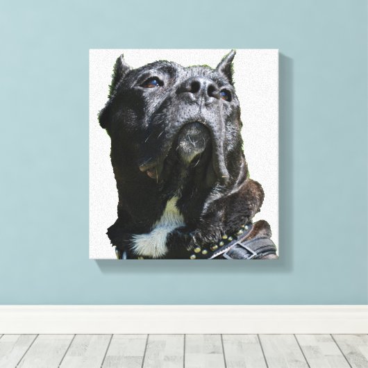 Big Dog Canvas (Insitu (Houten vloer))