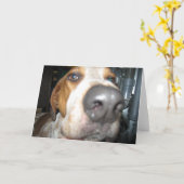 Big Dog Nose Notecard Kaart (Gele Bloem)