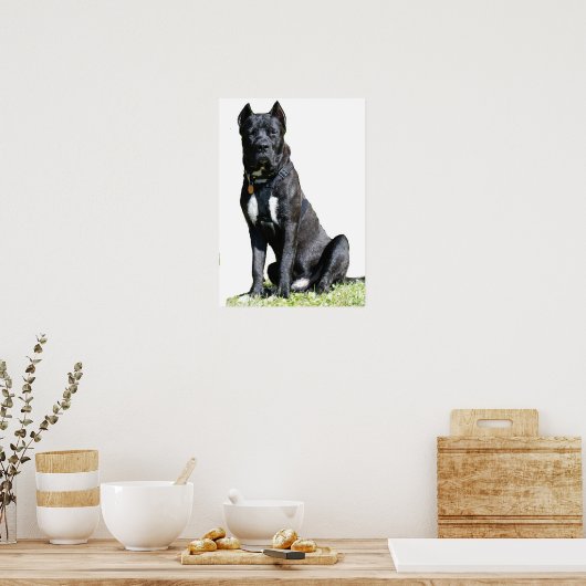 Big Dog Poster (Keuken)