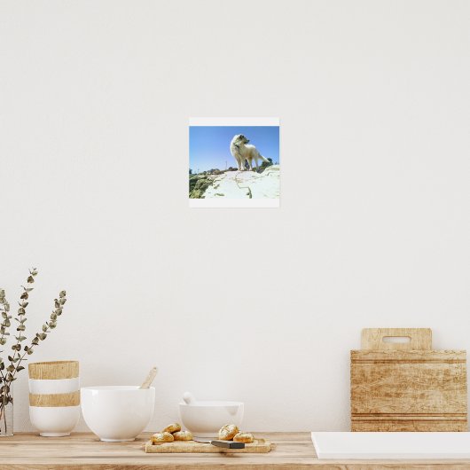Big Dog Poster (Keuken)