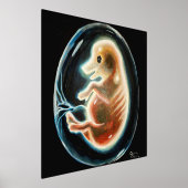 Big embryo folie afdrukken (Laagn)