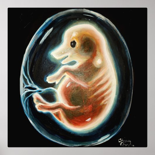Big embryo folie afdrukken (Voorkant)