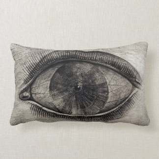 BIG EYE Black & White Graphic Modern Pillow Kussen