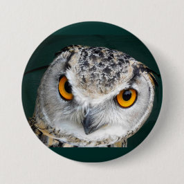 Big Eye Owl Ronde Button 7,6 Cm