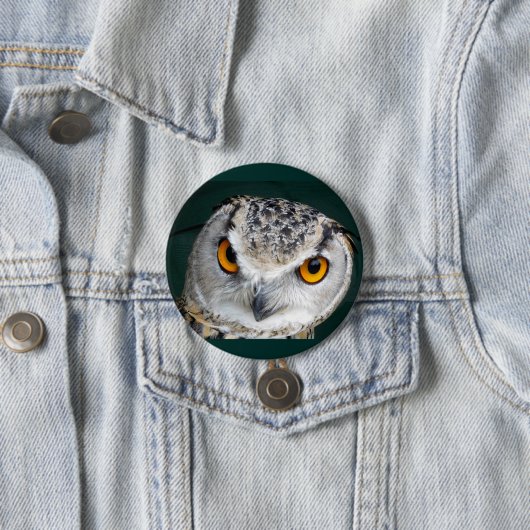 Big Eye Owl Ronde Button 7,6 Cm (In situ)