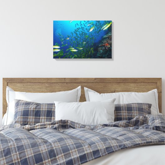 Big Eye Snapper op het Great Barrier Reef Canvas Afdruk (Insitu (Slaapkamer))