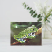 Big Eye Treefrog, Leptopelis vermiculatus Briefkaart (Staand voorkant)