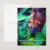 Big Eyed Possum Briefkaart (Voorkant / Achterkant)