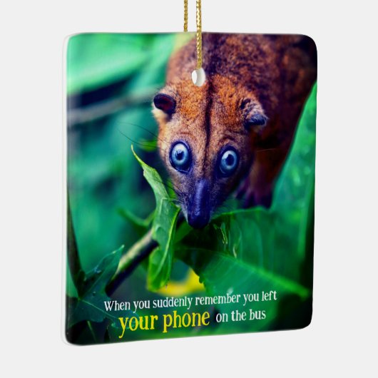 Big Eyed Possum Keramisch Ornament (Rechts)