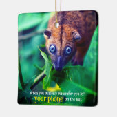 Big Eyed Possum Keramisch Ornament (Links)