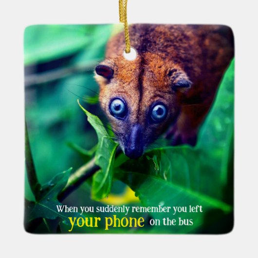 Big Eyed Possum Keramisch Ornament (Voorkant)