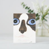 Big Eyed Snowshoe cat Briefkaart (Staand voorkant)