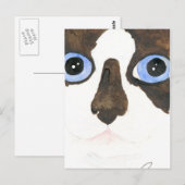 Big Eyed Snowshoe cat Briefkaart (Voorkant / Achterkant)