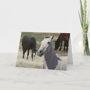 Big Eyes  Little Grey Pony Herd Blank Kaart
