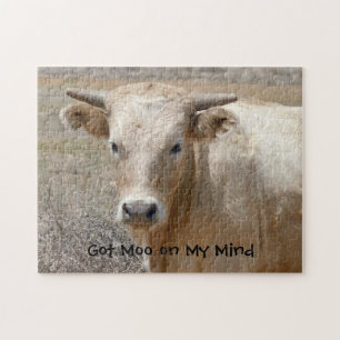 Big Eyes White Charolais Cattle - Western Legpuzzel