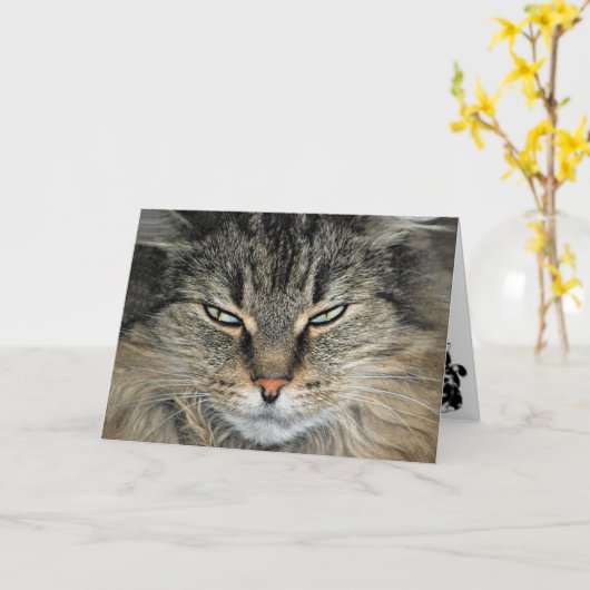 Big Face Cat Birthday Kaart (Gele Bloem)