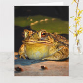 Big Fat Toad Kaart (Gele Bloem)