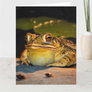 Big Fat Toad Kaart