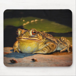 Big Fat Toad Muismat