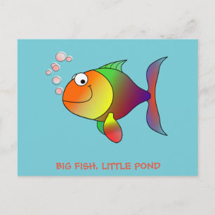 BIG FISH, KLEINE POND - Post Card Briefkaart