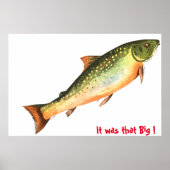 Big Fish Poster (Voorkant)