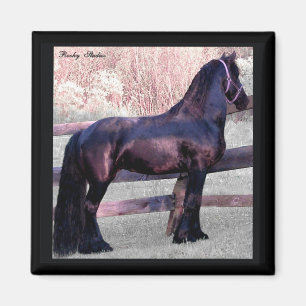 Big Friesian Horse Magnet