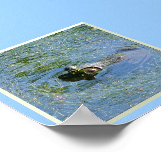 Big Frog Huge Poster (Hoek)