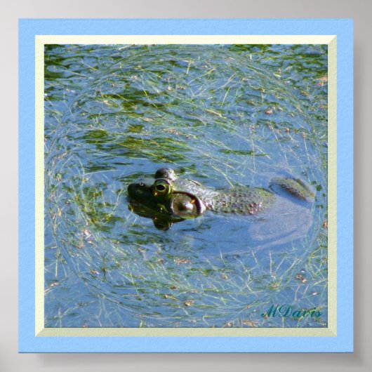 Big Frog Huge Poster (Voorkant)