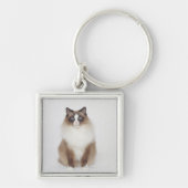 Big Furry Cat Sleutelhanger (Voorkant)