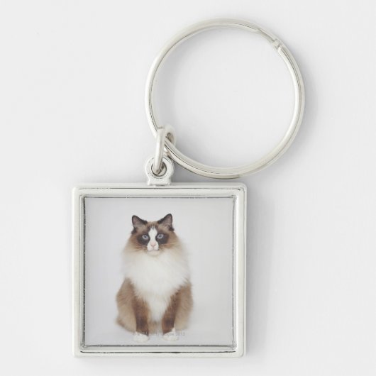 Big Furry Cat Sleutelhanger (Voorkant)