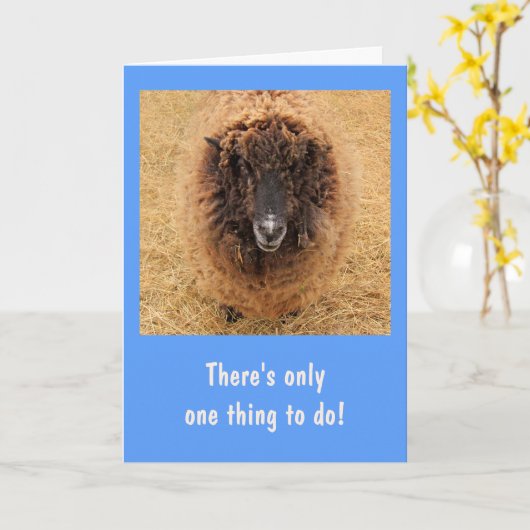 Big Fuzzy Serious Sheep krijgt goed Kaart (Gele Bloem)