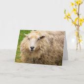 Big Fuzzy Wooly Sheep Birthday Kaart (Gele Bloem)