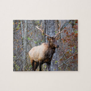 Big Game Hunter - Elk Season - 8 x 10 inch Legpuzzel