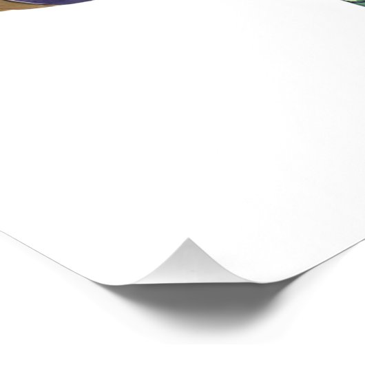 BIG GATOR FOTO AFDRUK (Hoek)