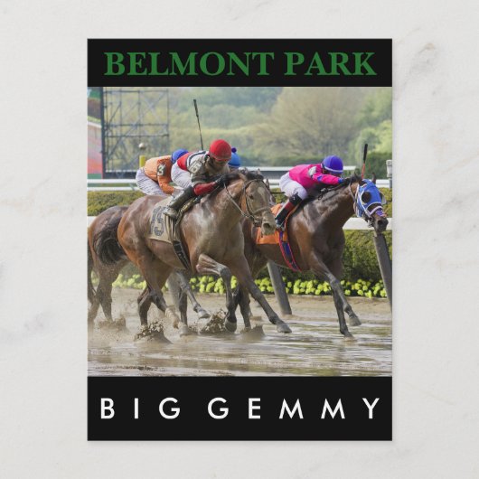 Big Gemmy - Jose Lezcano NY Bred Briefkaart (Voorkant)