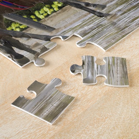 Big Gemmy - Jose Lezcano NY Bred Legpuzzel (Zijkant)