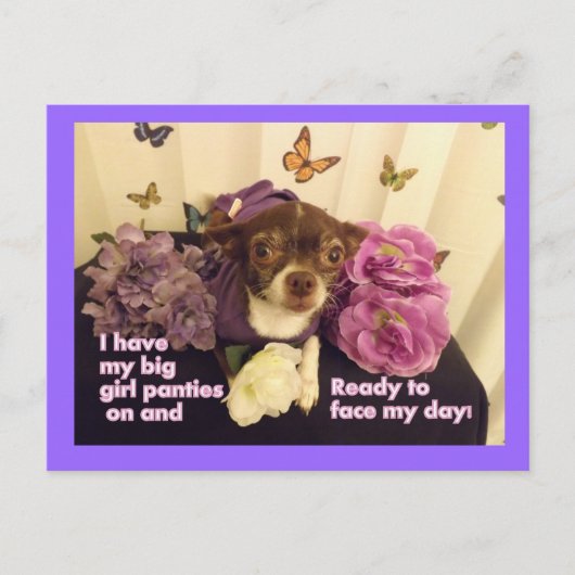 Big girl Panties Chihuahua Card Briefkaart (Voorkant)