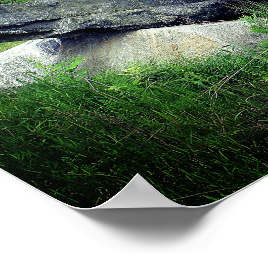 Big Granite Rocks Natuur Poster (Hoek)