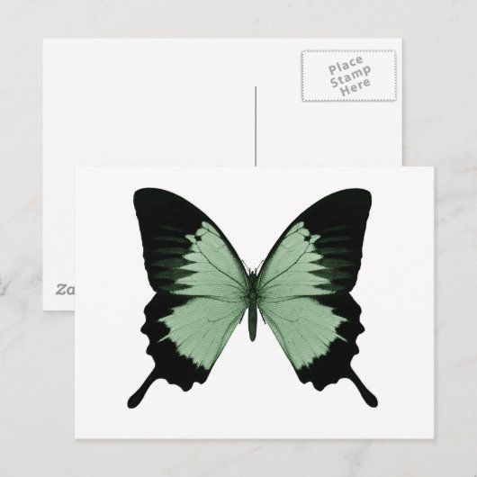 Big Green & Black Butterfly Briefkaart (Voorkant / Achterkant)