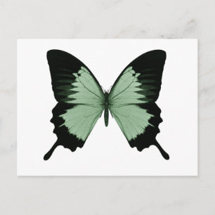 Big Green & Black Butterfly Briefkaart