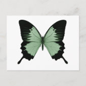 Big Green & Black Butterfly Briefkaart (Voorkant)