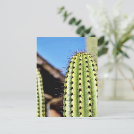 Big Green Cactus Briefkaart (Staand voorkant)