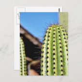 Big Green Cactus Briefkaart (Voorkant / Achterkant)