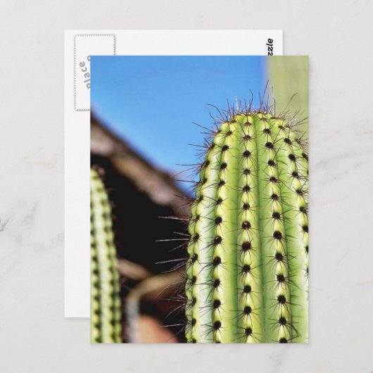 Big Green Cactus Briefkaart (Voorkant / Achterkant)
