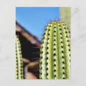 Big Green Cactus Briefkaart (Voorkant)