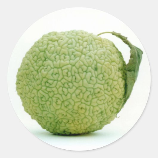 Big Green Hedgeapple Ronde Sticker (Voorkant)