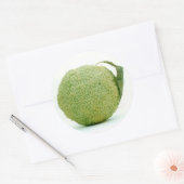 Big Green Hedgeapple Ronde Sticker (Envelop)