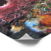 Big Green Moray Poster (Hoek)