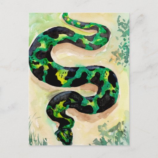 Big Green Snake Briefkaart (Voorkant)